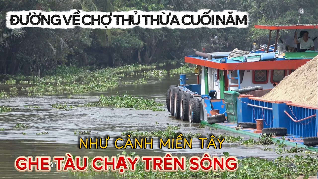 Đường Kinh Cuối Năm Chợ Thủ Thừa |Tàu Ghe Chạy Cặp Ngang Nhà Như Cảnh Miền Tây .
