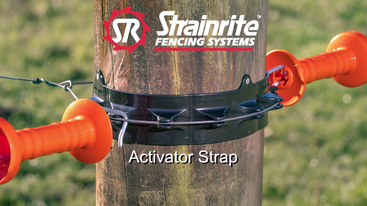 Strainrite | Activator Strap