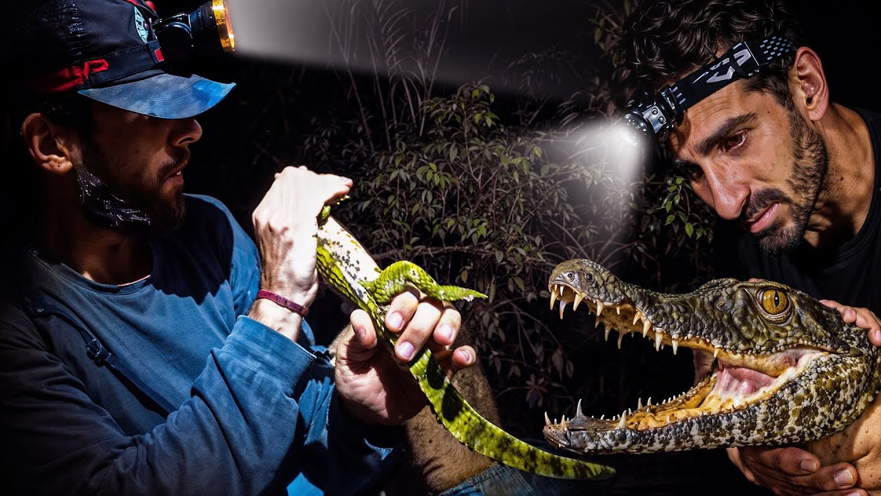 Looking for Caimans With Paul Rosolie in Amazon Jungle🇵🇪