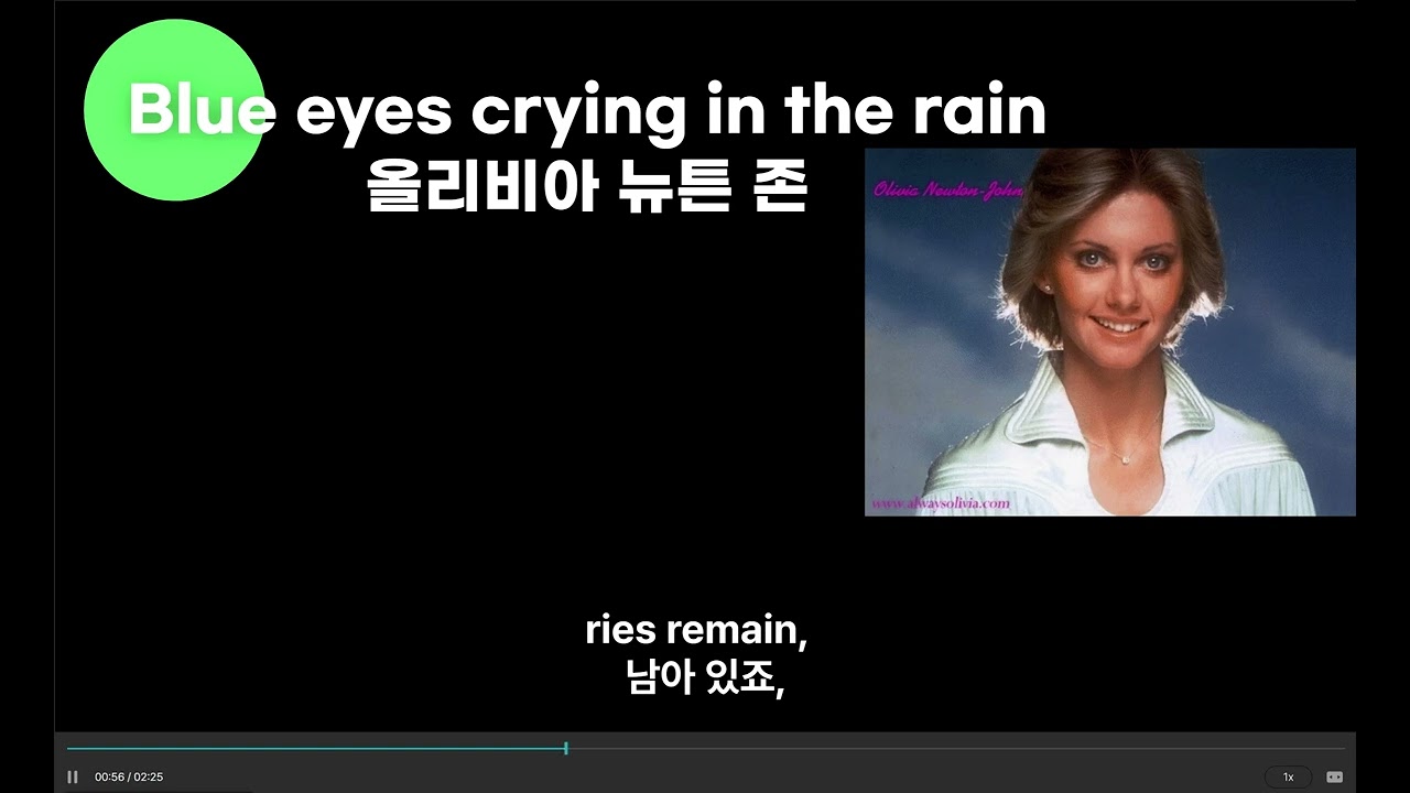 Blue eyes crying in the rain (영어가사+한국어뜻)