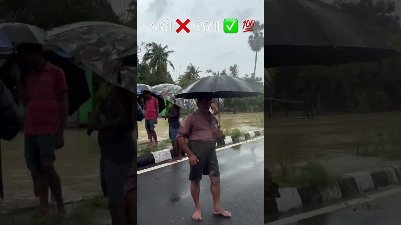 🚨 Balasore Flood Live Update | Dangerous Flood Situation in Odisha | Baleshwar Flood News Today