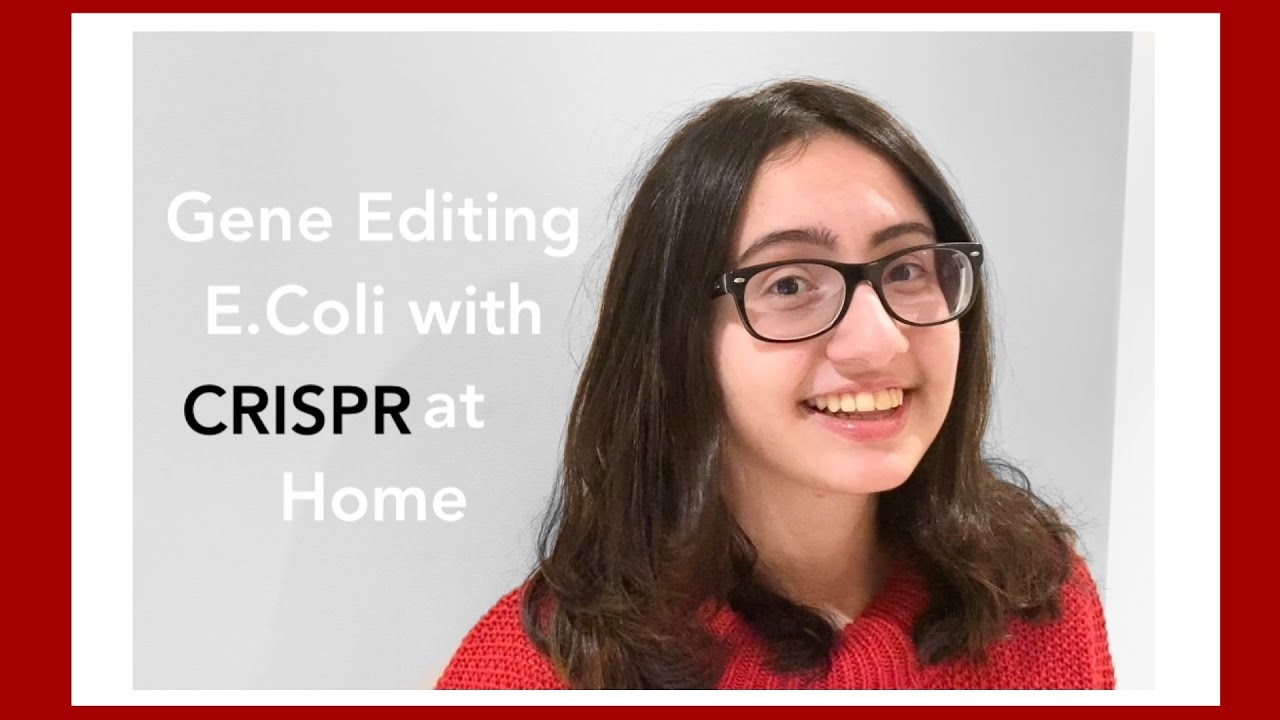 Editing the genome of E.Coli with CRISPR at home