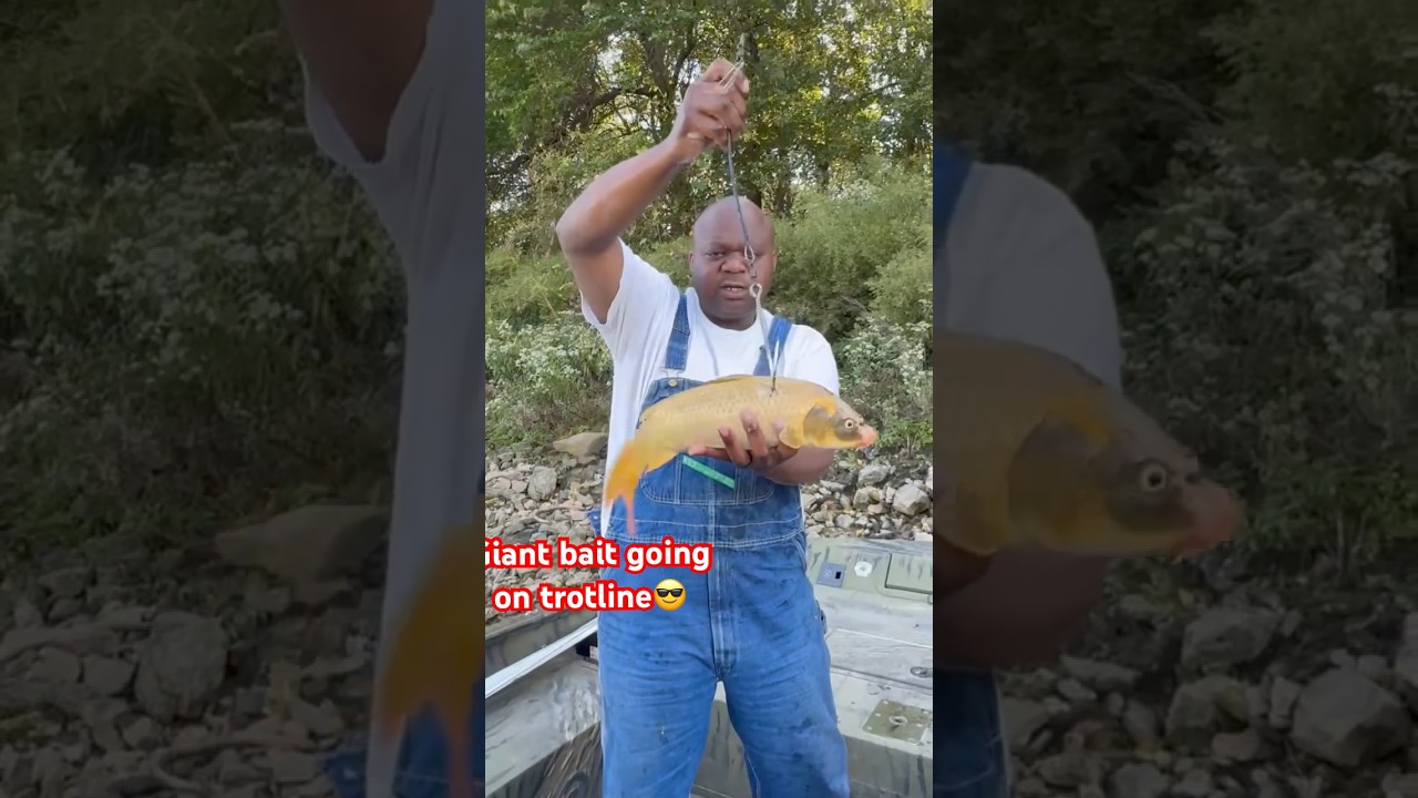 Забрасываю крупные приманки на донную снасть. #вирусное #рыбалка #создателькреативногоконтента #y...