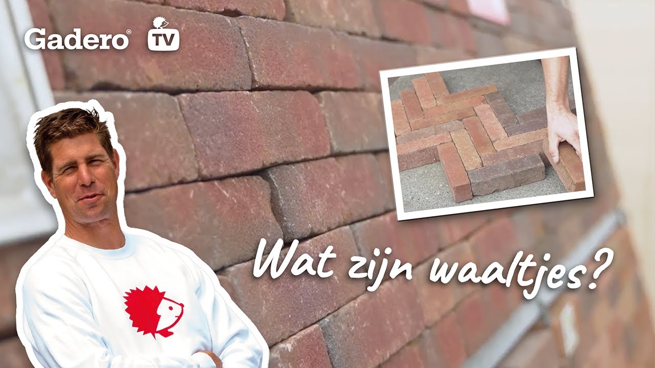 Wat zijn waaltjes? Ontdek het hier!