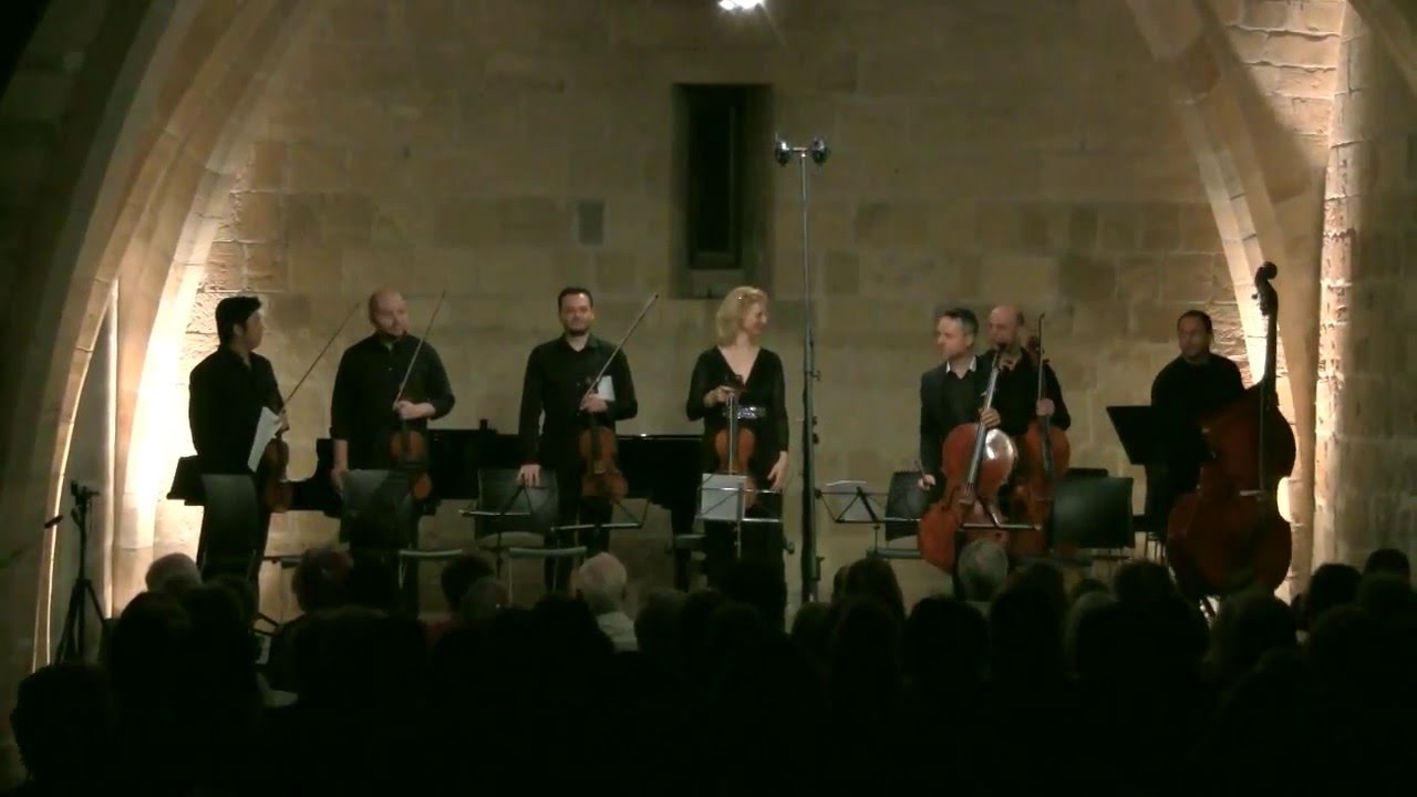 R. Strauss - Metamorphosen Septet (excerpt)