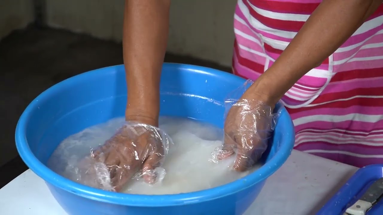 Nata de Coco How to