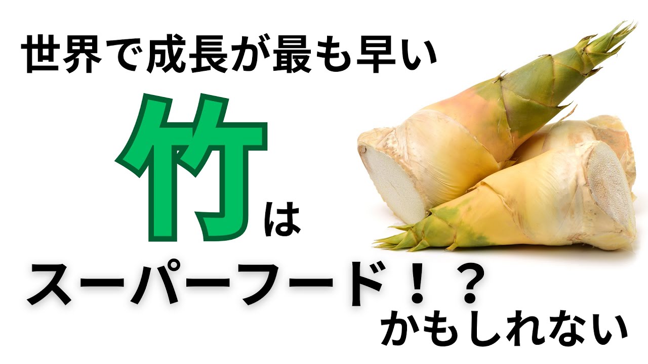 世界で成長が最も早い「竹」はスーパーフードかもしれない！？【５分間雑学】