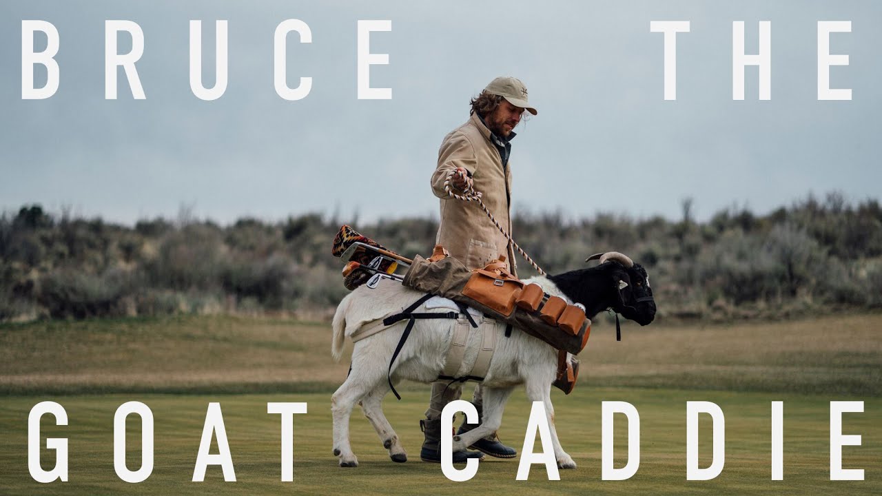 CAN A GOAT BE A GOLF CADDIE?