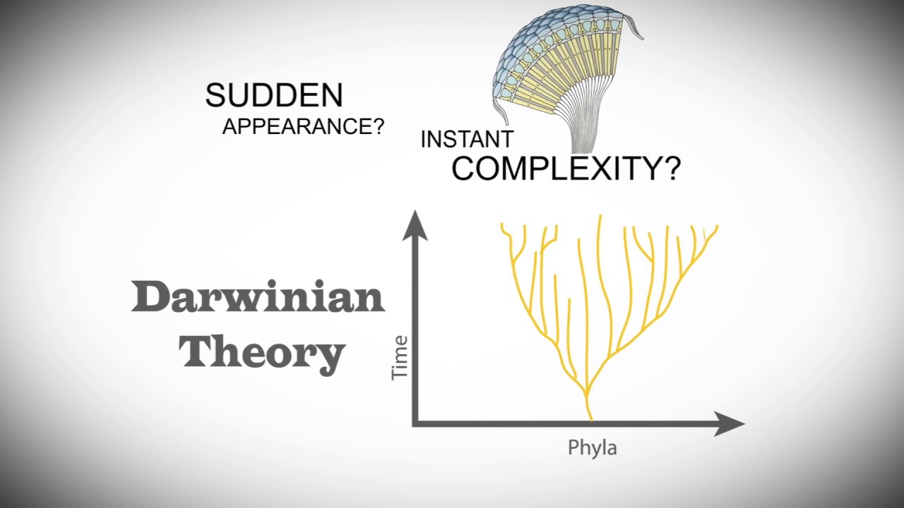 Cambrian Explosion | That's a Fact