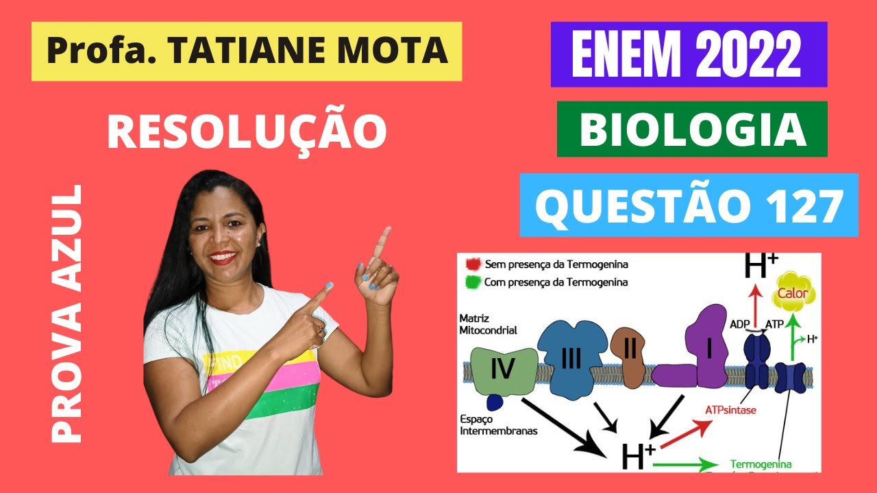 ✅[ENEM 2022] # BIOLOGIA # QUESTÃO 127 – RESPIRAÇÃO AERÓBICA: TERMOGENINA - Os ursos, por não