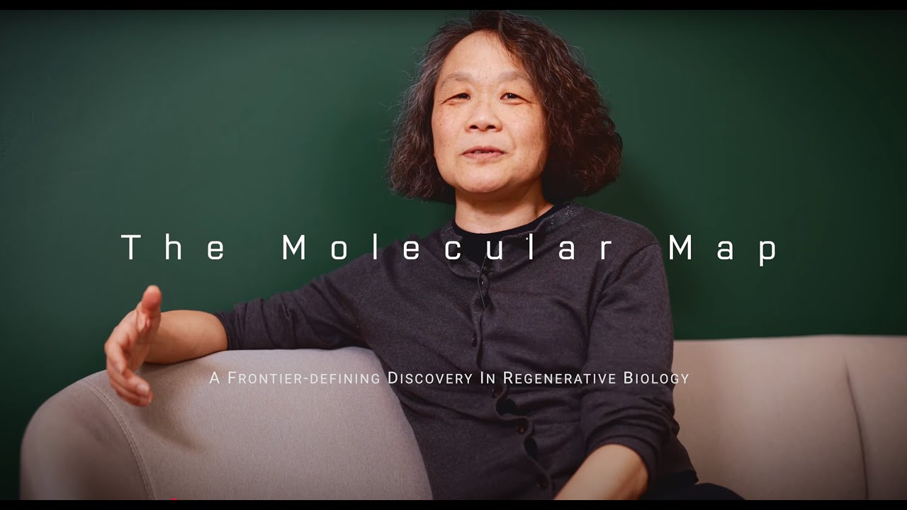 The Molecular Map.