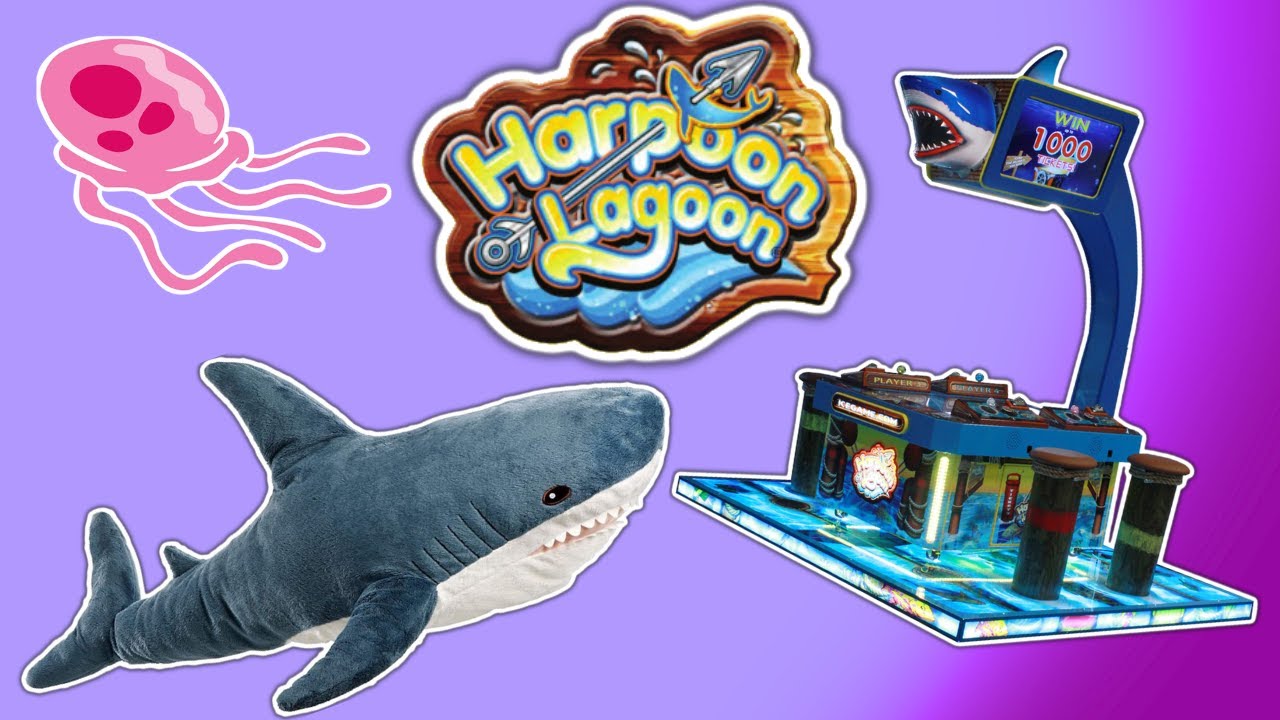 Taking a Look at Harpoon Lagoon