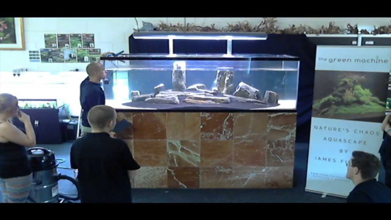 TGM Live In-Store Aquascaping by James Findley