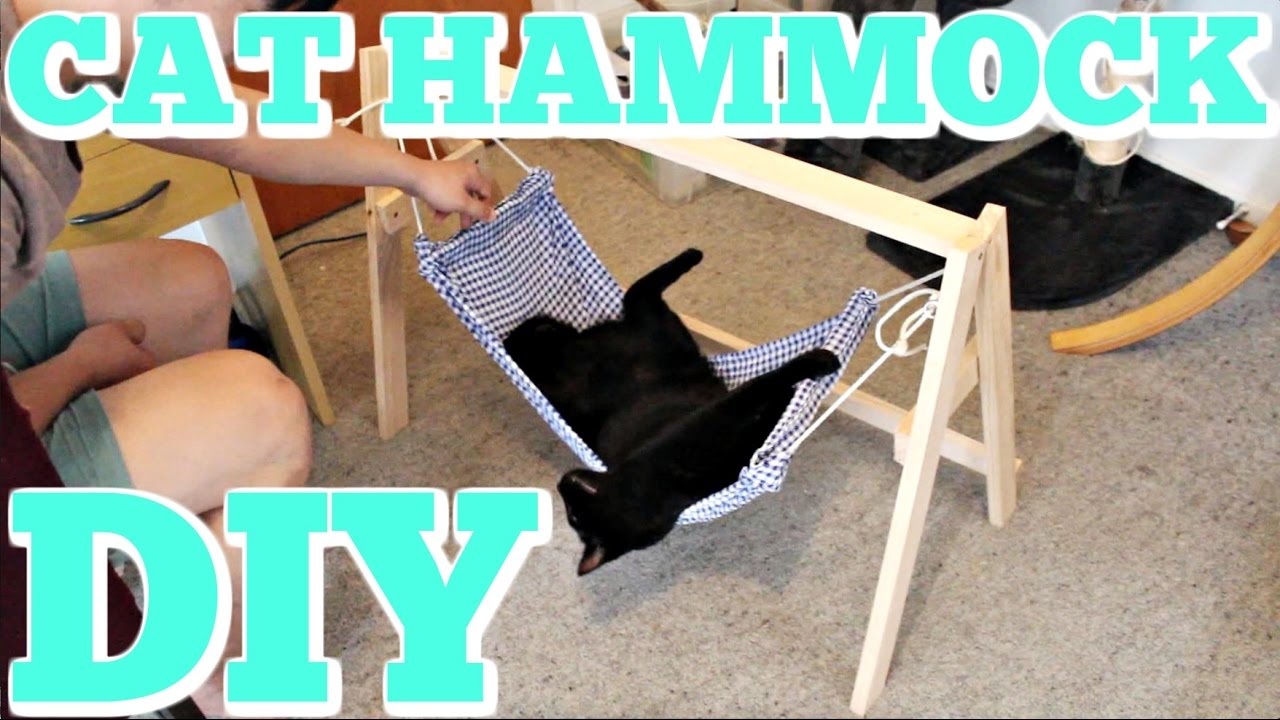 How to Make a CAT HAMMOCK!