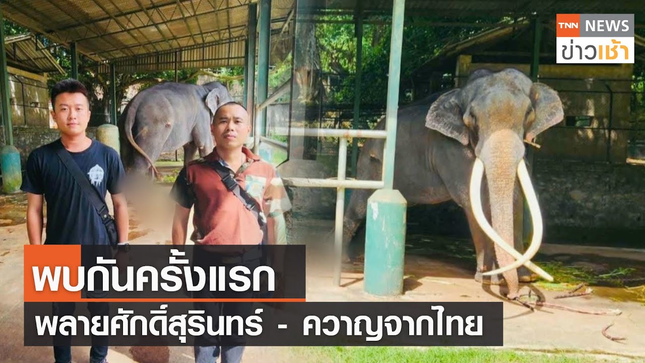 พบกันครั้งแรก พลายศักดิ์สุรินทร์-ควาญจากไทย l TNN News ข่าวเช้า l 11-06-2023