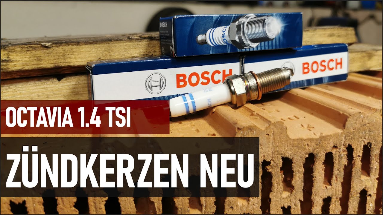 Skoda Octavia 1.4 TSI | Neue Zündkerzen | v.145 👨‍🔧