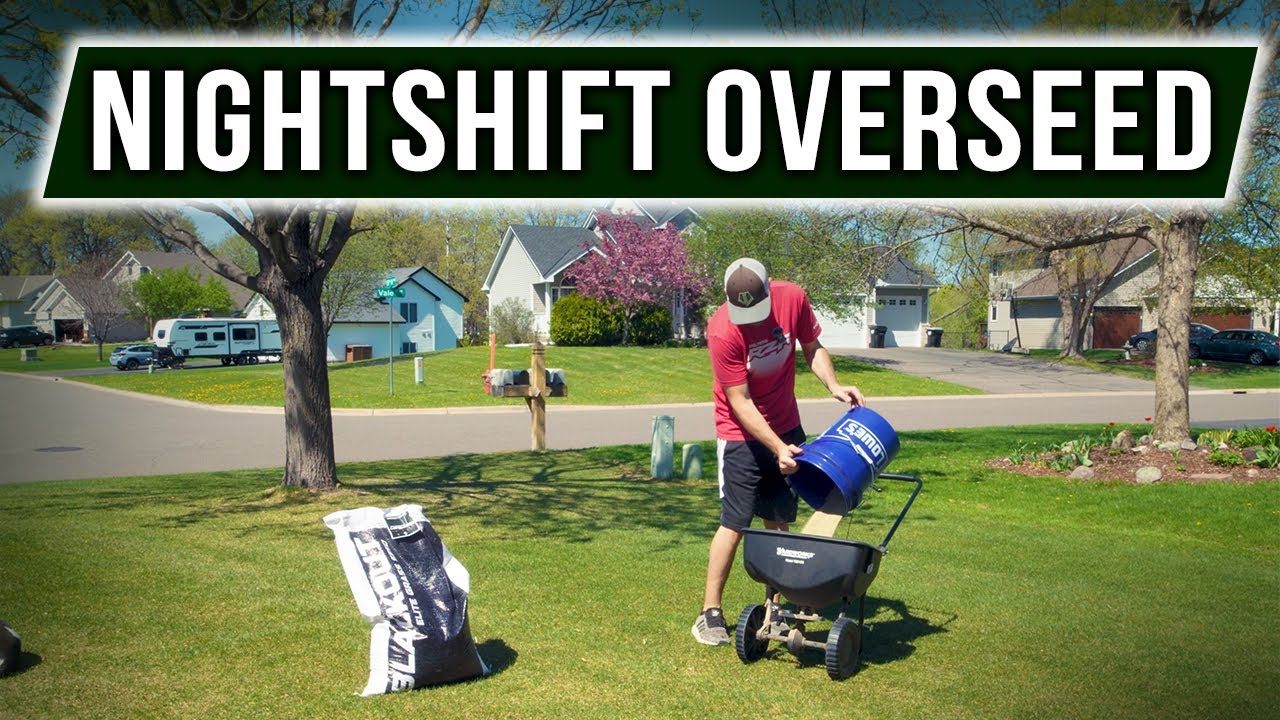 NightShift Dark Legend OVERSEED! +@LAWN LIFE Updates!