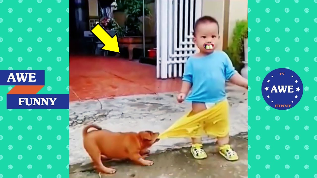 Vídeo engraçado e hilariante sobre a vida das pessoas #18 😂 Tente não rir de vídeos engraçados 2023