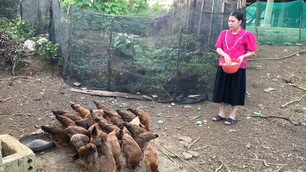Gia Đình A Nhiệm Có Tin Vui, Chuẩn Bị Đón Thành Viên Mới