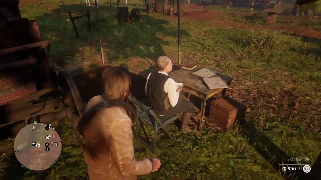 Red dead redemption 2 de chill