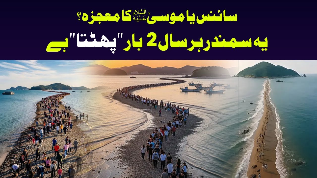 Miracle of Jindo Island Mesmerizes Everyone | Raaz e Noor #JindoIsland #JindoMiracle #SeaSplitting
