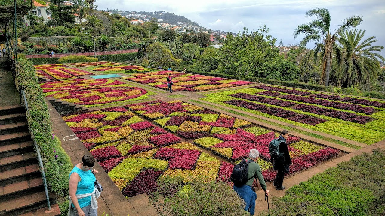 Madeira - The land of hills and flowers