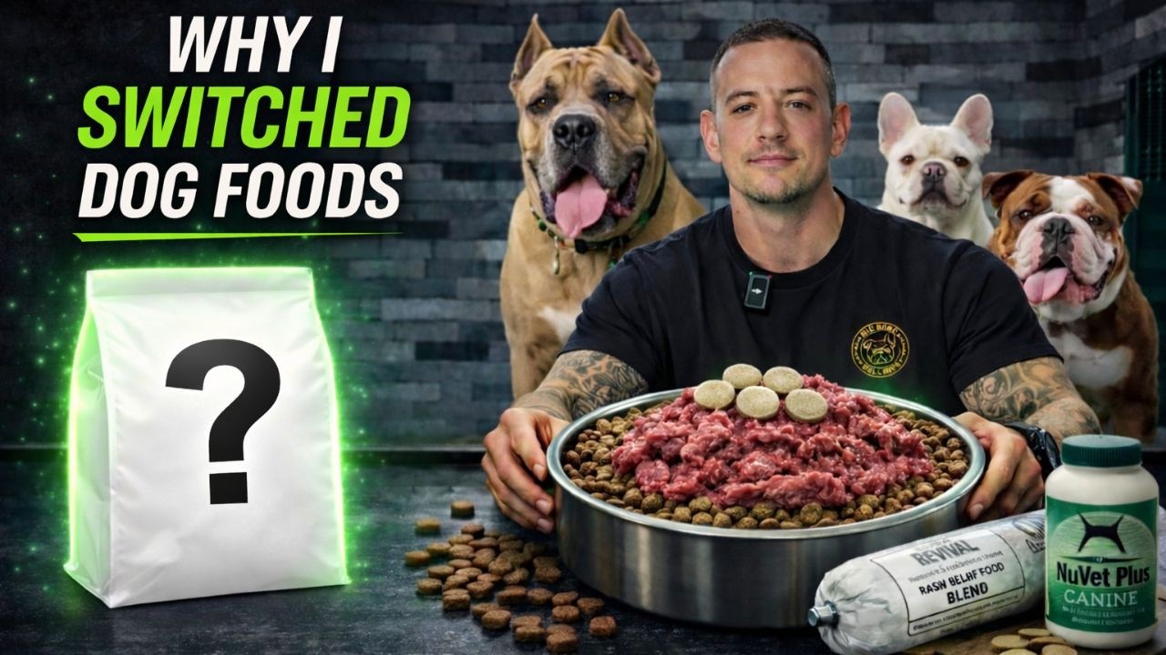The Most Well Balanced Dog Food Diet for Optimal Health