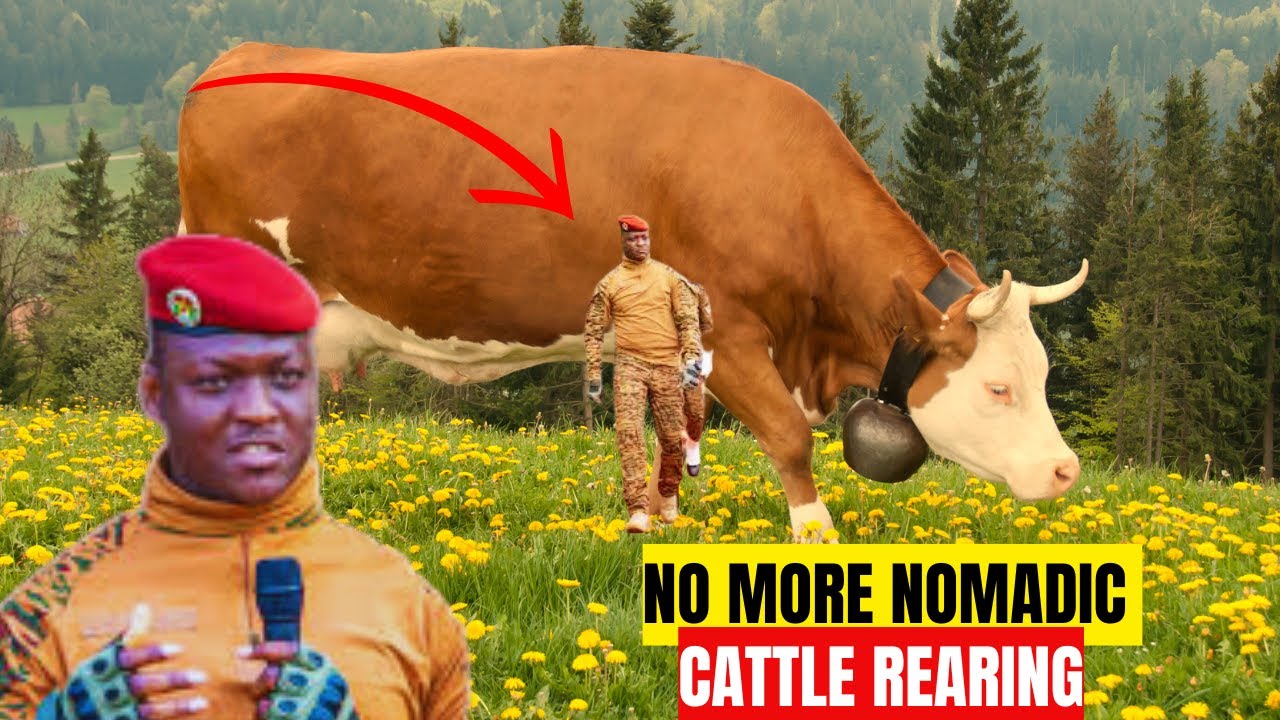 Burkina Faso’s Agric Revolution: Ending Nomadic Cattle Rearing with Large-Scale Fodder Cultivation!