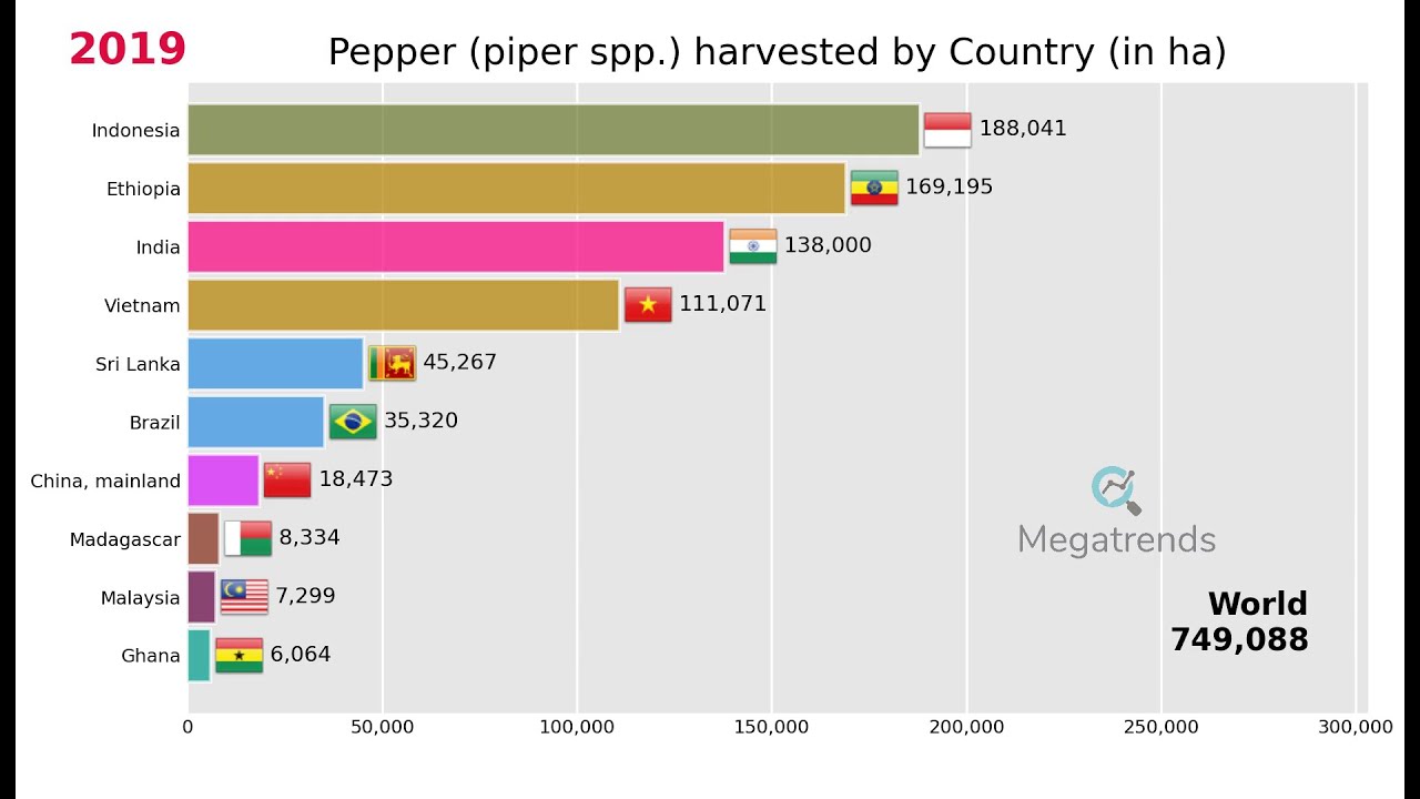 Top 10 Countries by Area Harvested of Pepper (piper spp.) (1961 - 2019)