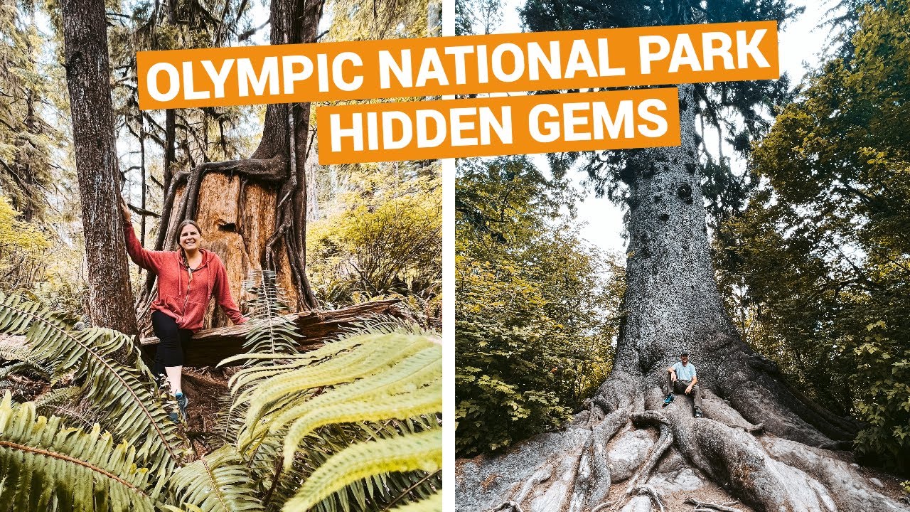 Is LAKE QUINAULT in OLYMPIC NATIONAL PARK Worth Visiting?  |  Don't Miss this Hidden Gem!