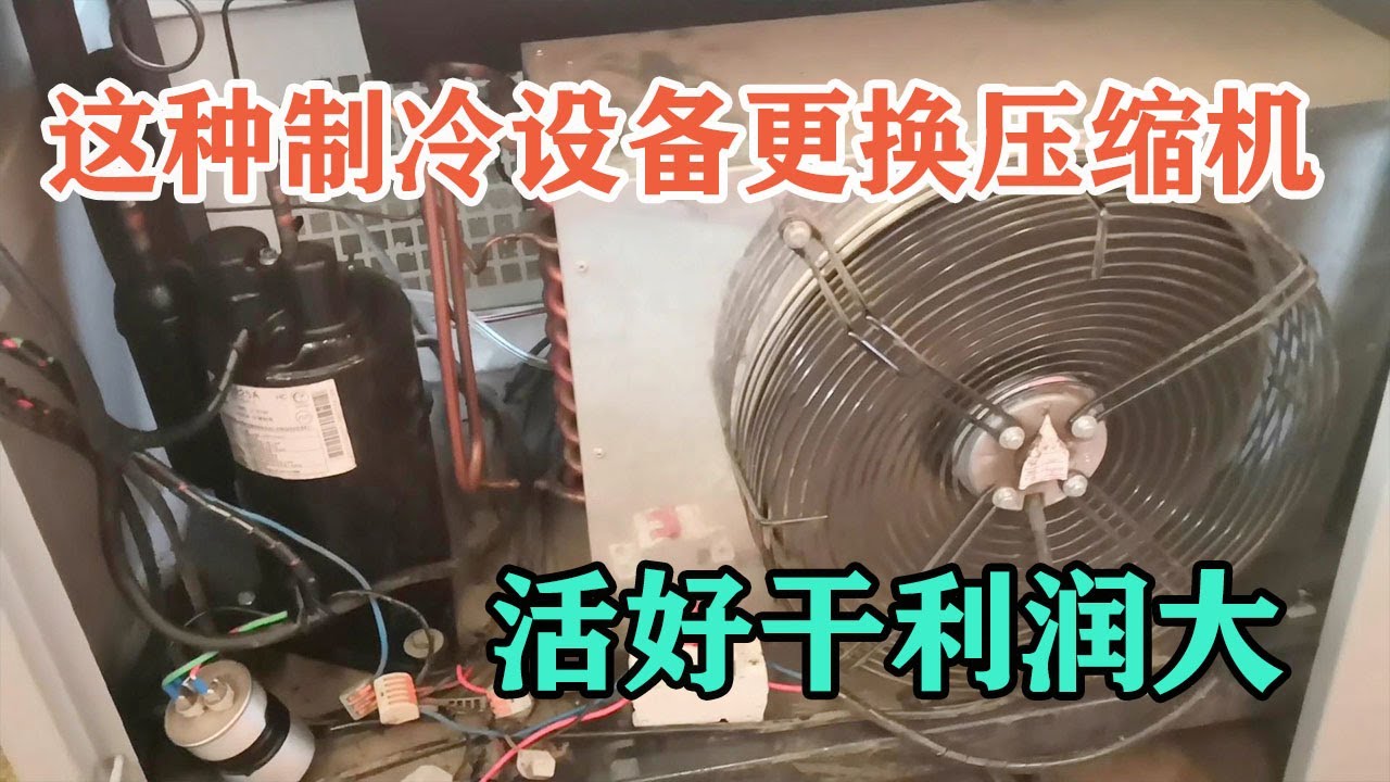 这种制冷设备换压缩机比冰箱简单，利润却是冰箱的好几倍【胶东小王】