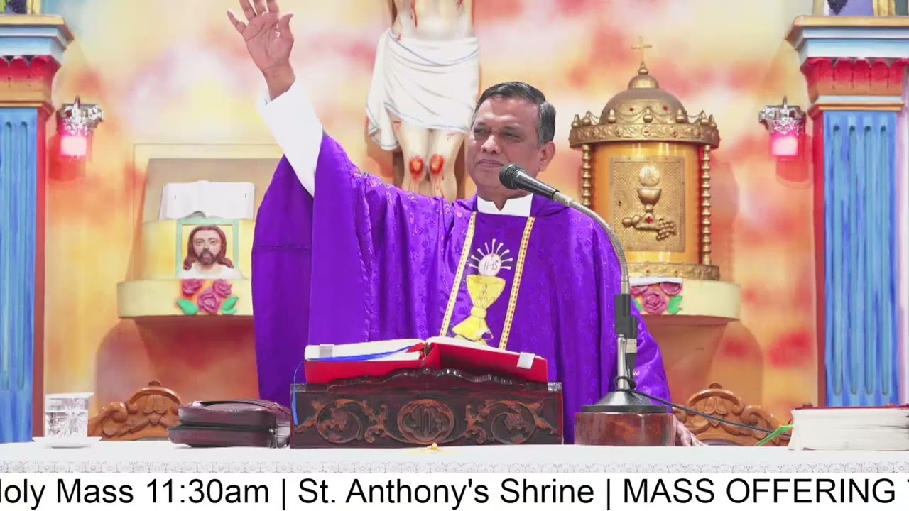 Fr. Cyril SVD | రిఫ్లెక్షన్స్ |