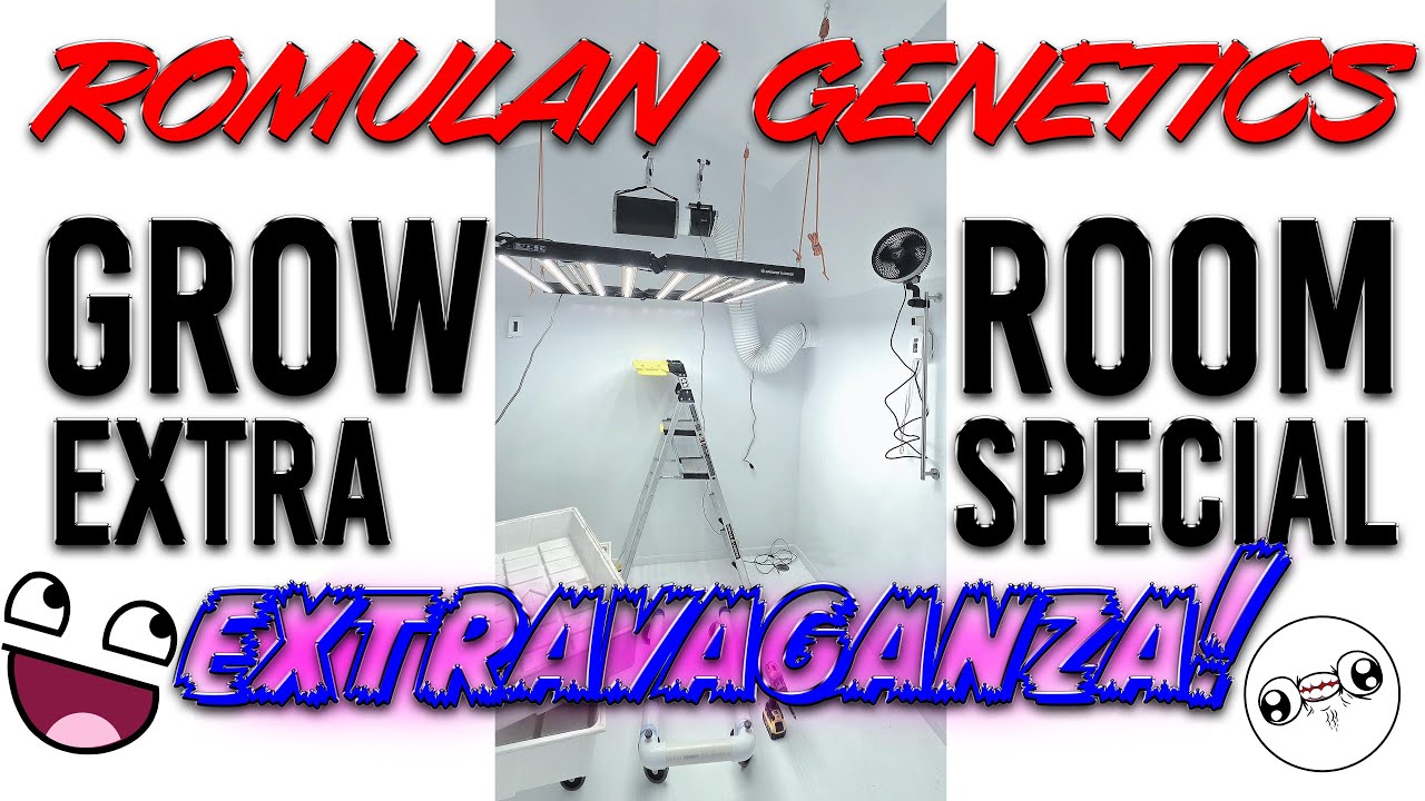 Romulan Genetics - New Grow Room Build Part 1
