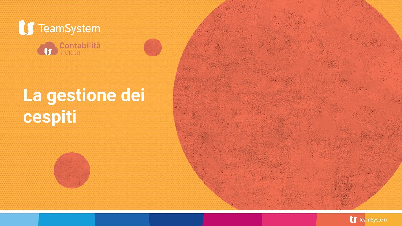 La gestione dei cespiti