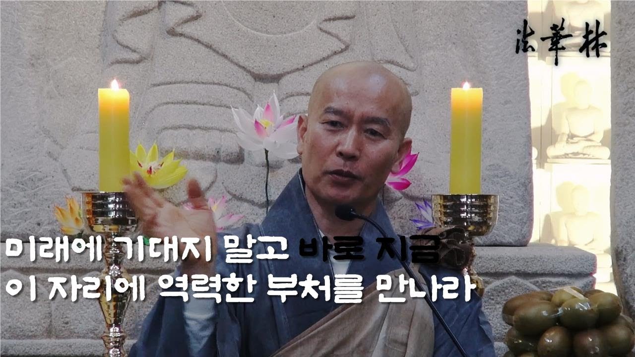 법문_바로 지금! 이 자리에 역력한 부처를 만나라