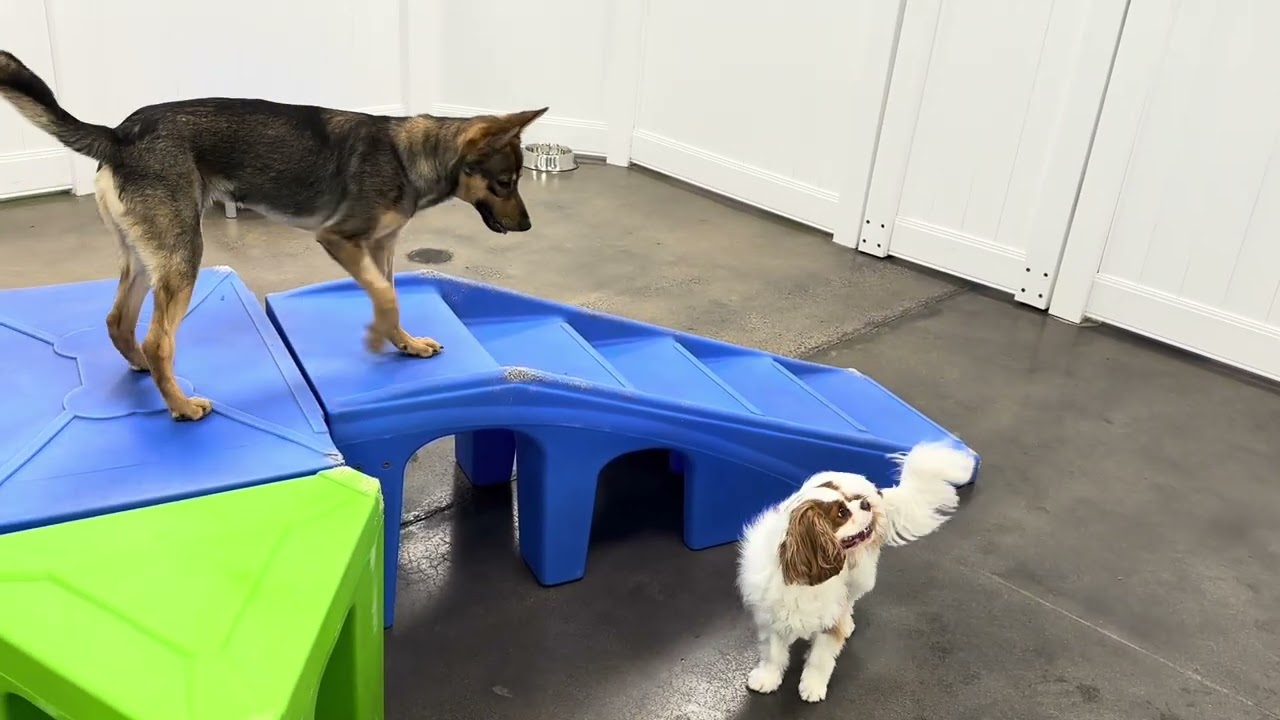 Monday Fun days! 💙💚