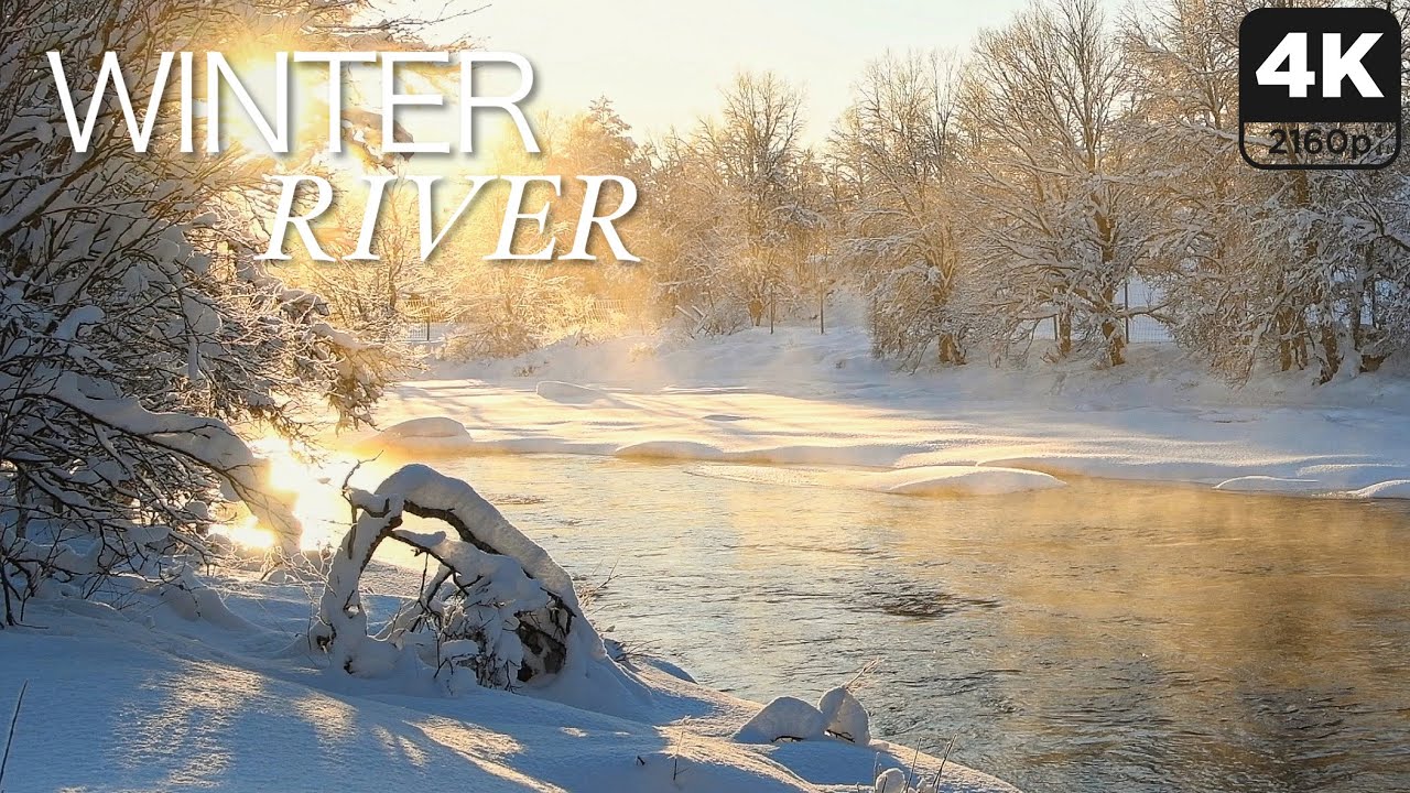 Snowy Forest River in Winter | 5h Winter Ambience for Relaxation & Sleep (4K)