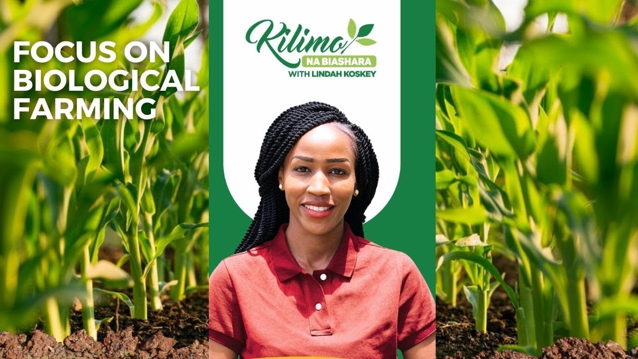 Working hand in hand with nature:  Focus on Biological Farming