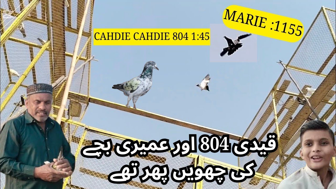 عمیری اور قیدی 804 بچے  کی فل اپڈیٹ 6پرواز 