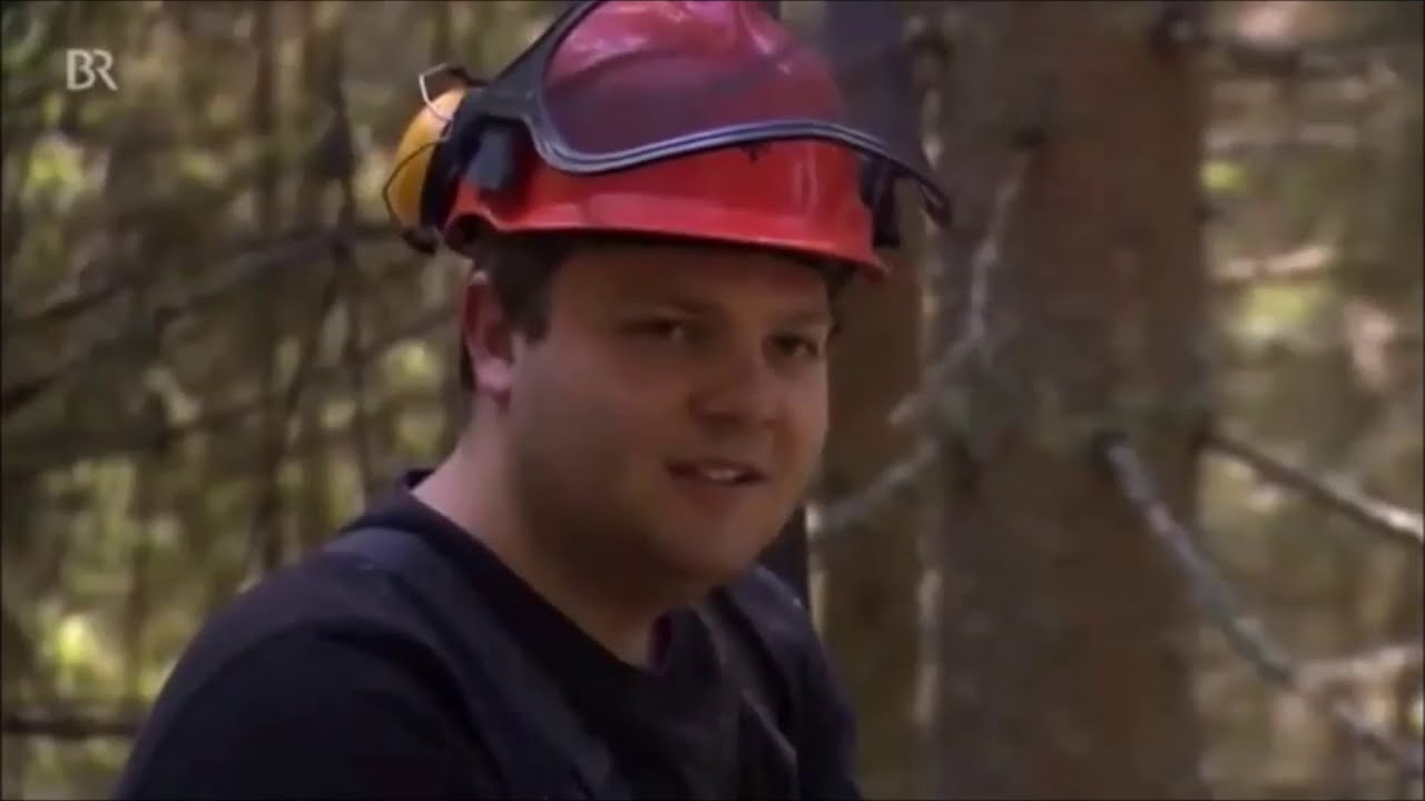 Keine Erfahrung beim Maibaum fällen