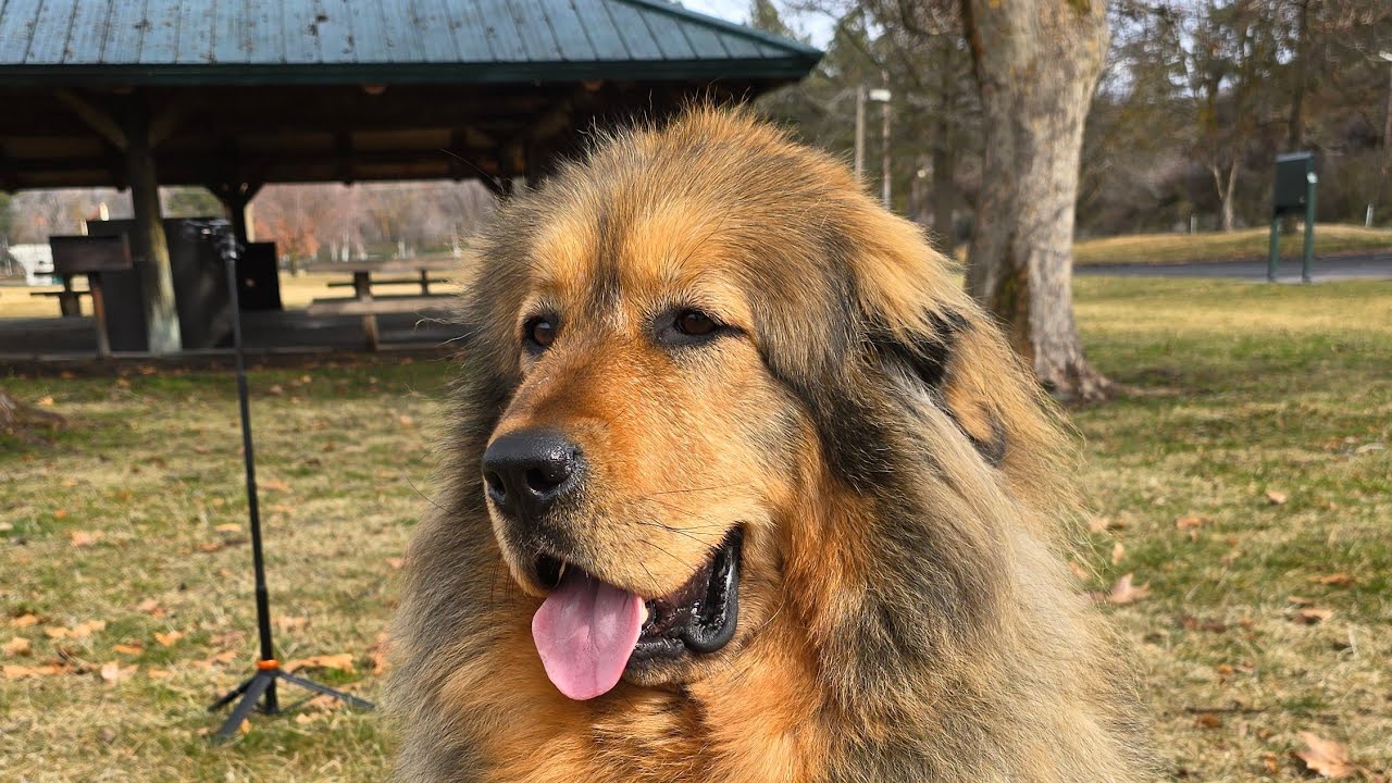 Denali and Dave Live at the Lake