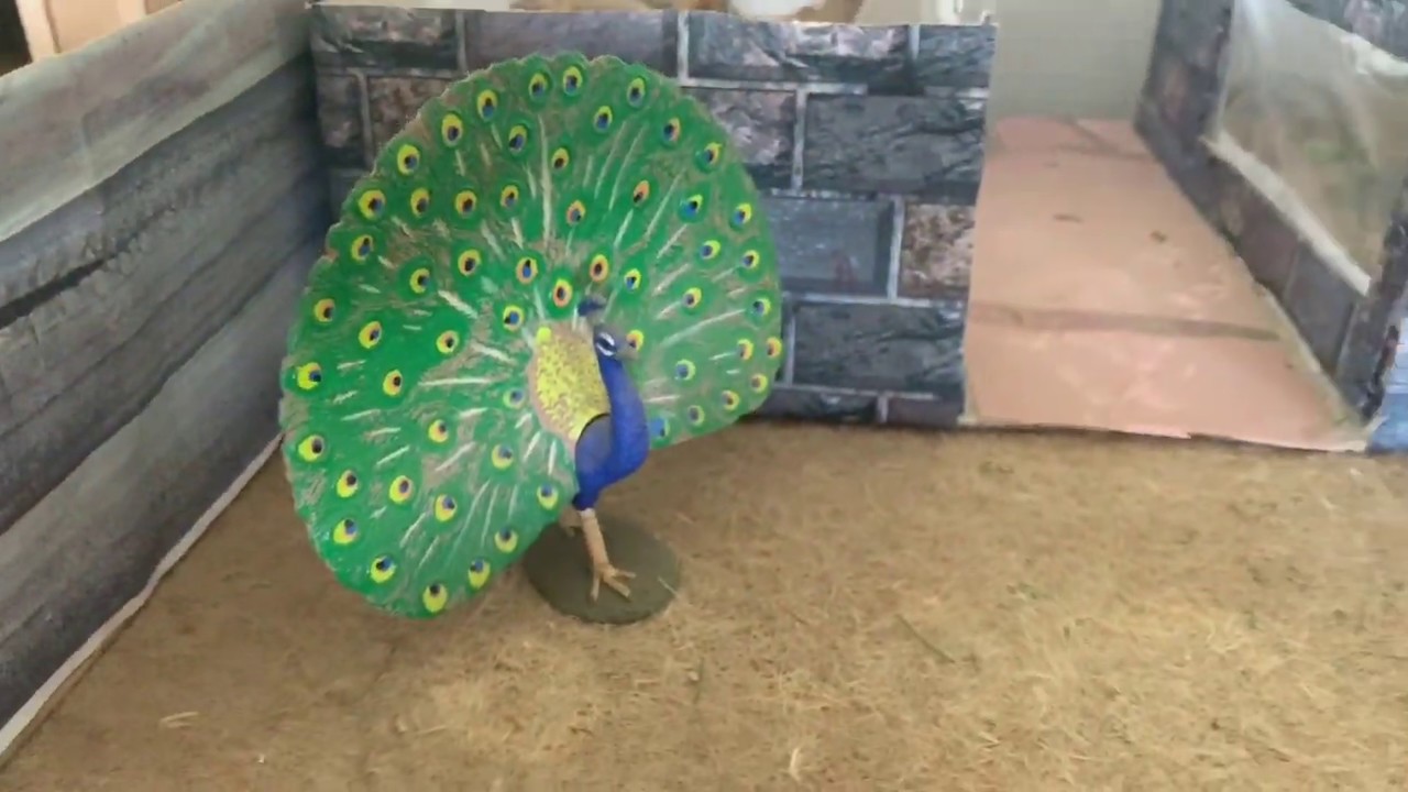 Visite De Mon Zoo 2
