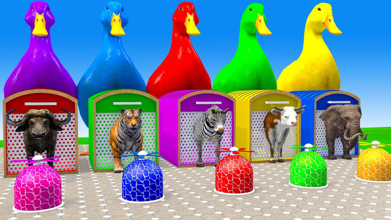 Long Slide Game With Cow Elephant Gorilla Hippopotamus Tiger 3d Animal Game Funny 3d Animals