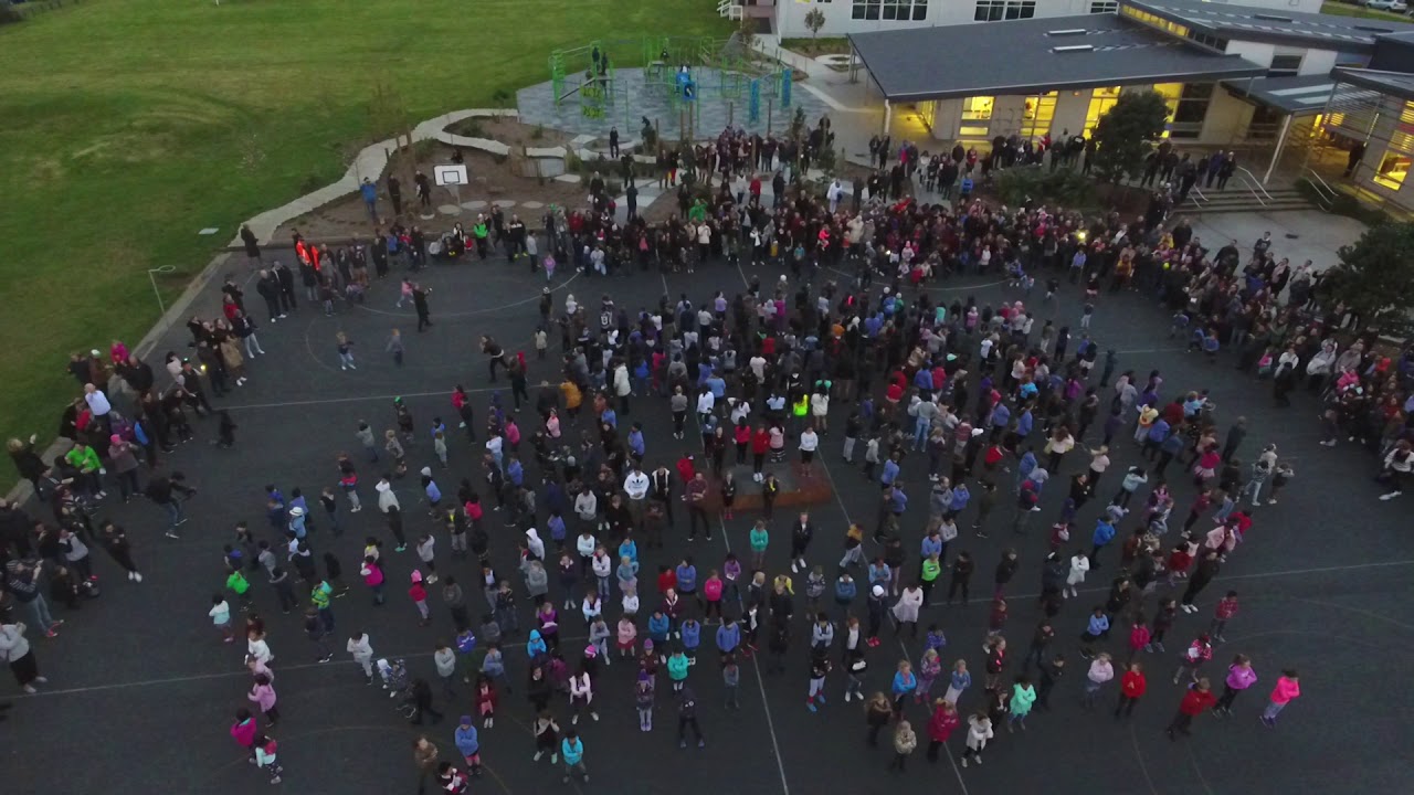 Flash Mob Drone Footage