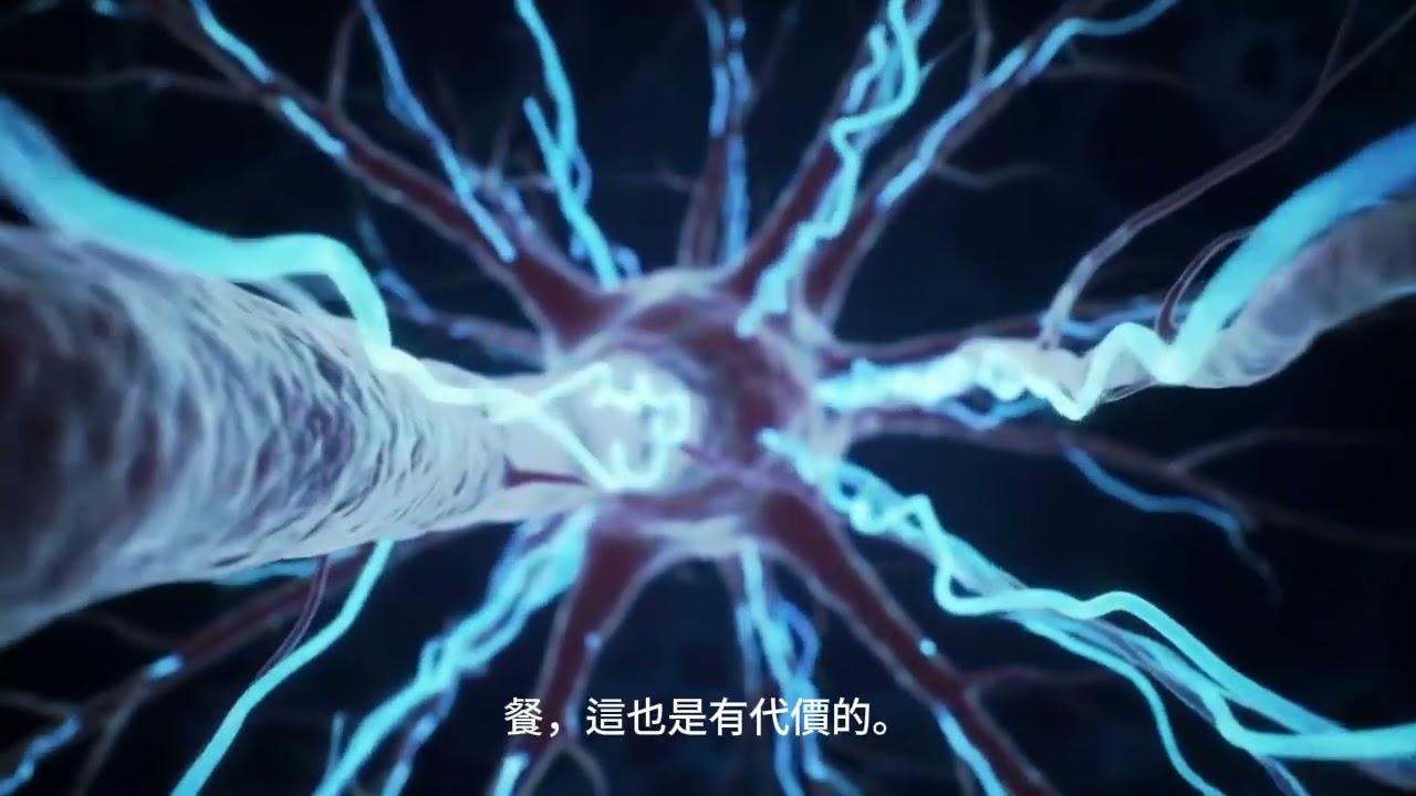 內耗者的救星！腦袋裡的負面劇本停不下來？弗洛依德與齊克果兩套心靈工具箱，幫你找回失蹤的內在平靜。