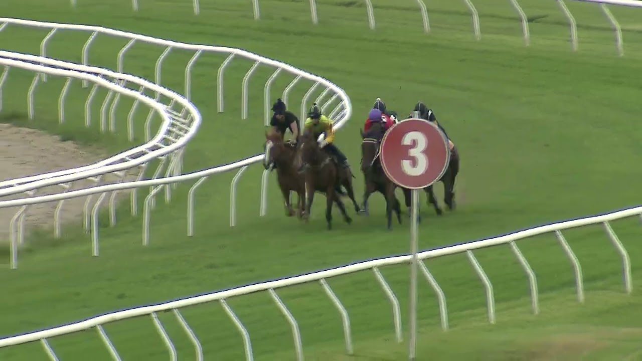 Heat 7   Doomben Jumpouts 2701