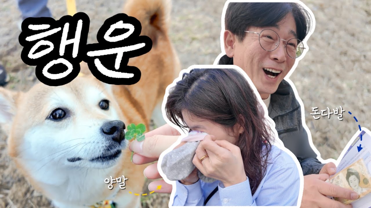 자식한테 돈다발 받고 감동해서 양말로 눈물훔치는 부모님 (+ 네잎클로버 15개 찾은 날🍀)