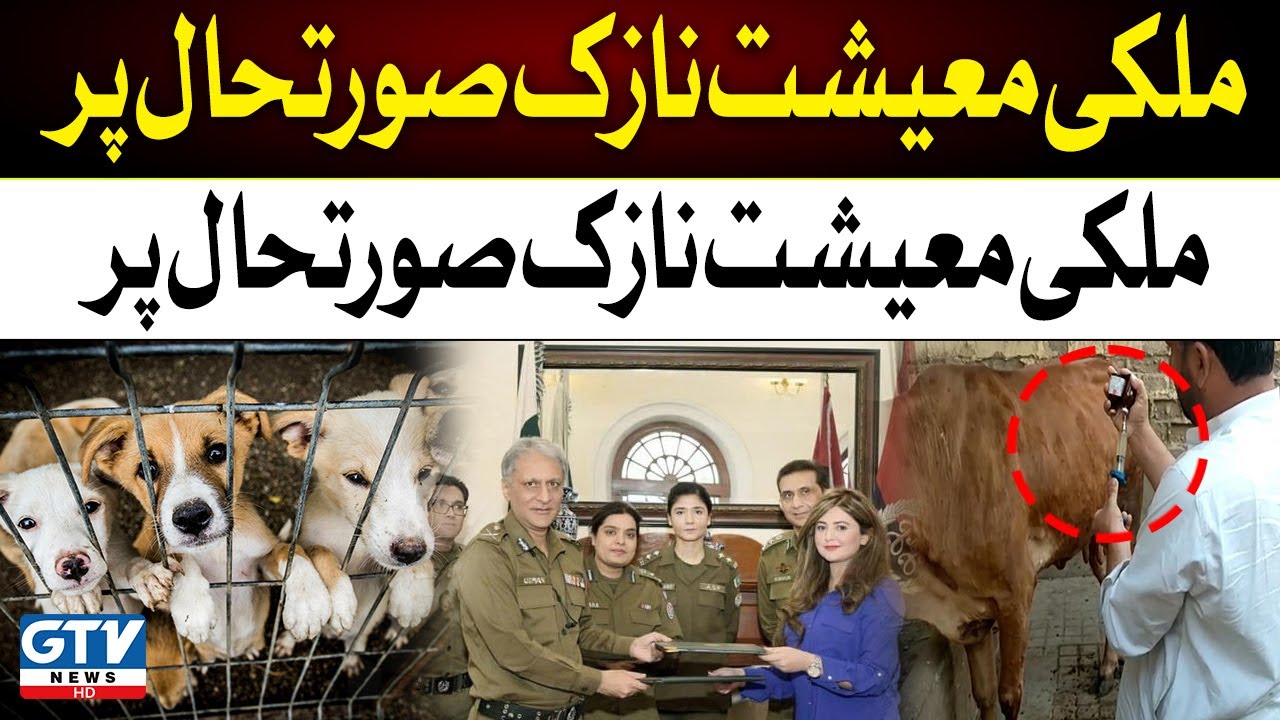 Lady Police officer successful Initiative, Lahore Police Opens Animals rescue centres | GTV News