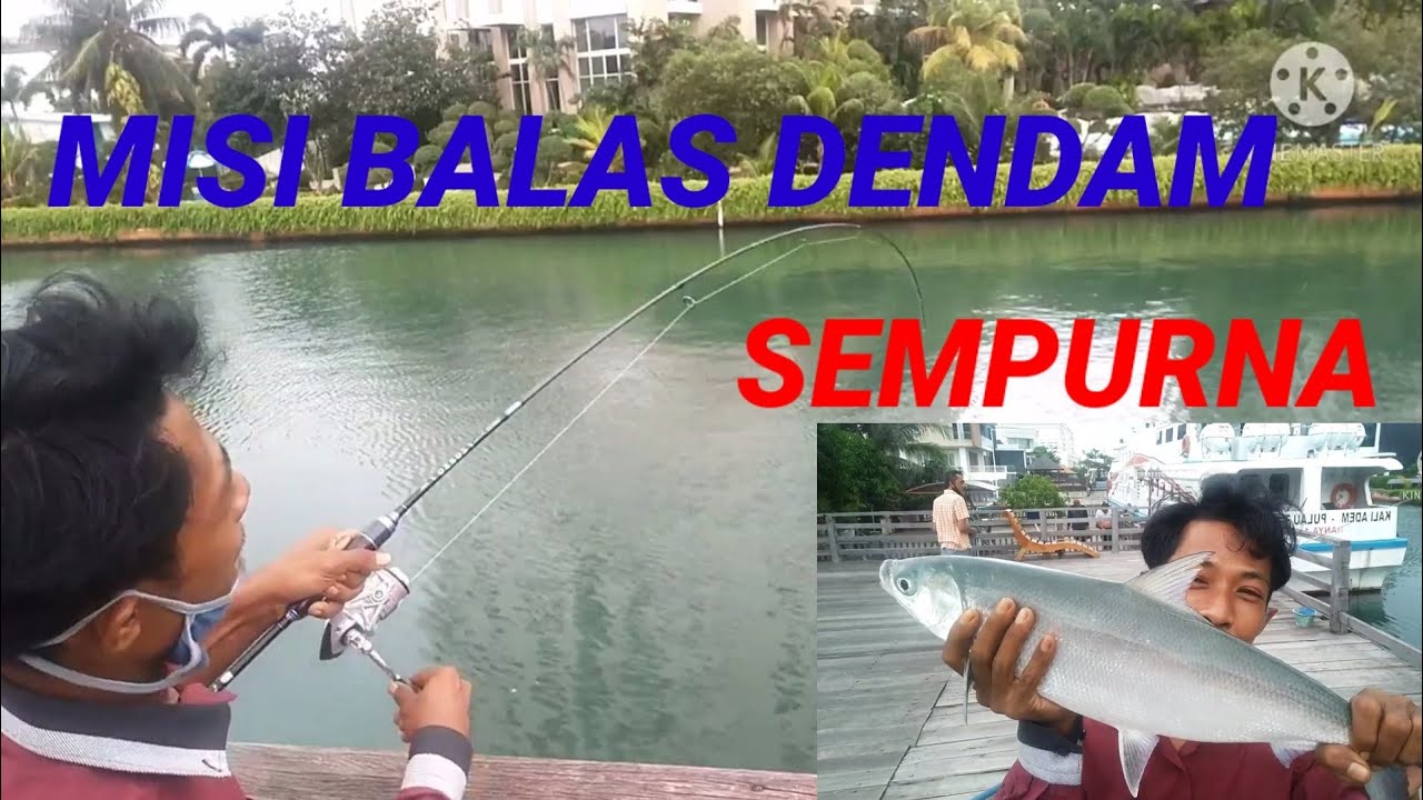 DENDAM qu TERBALASKAN #hendriklikefishing #umpanjituikanbandengliar