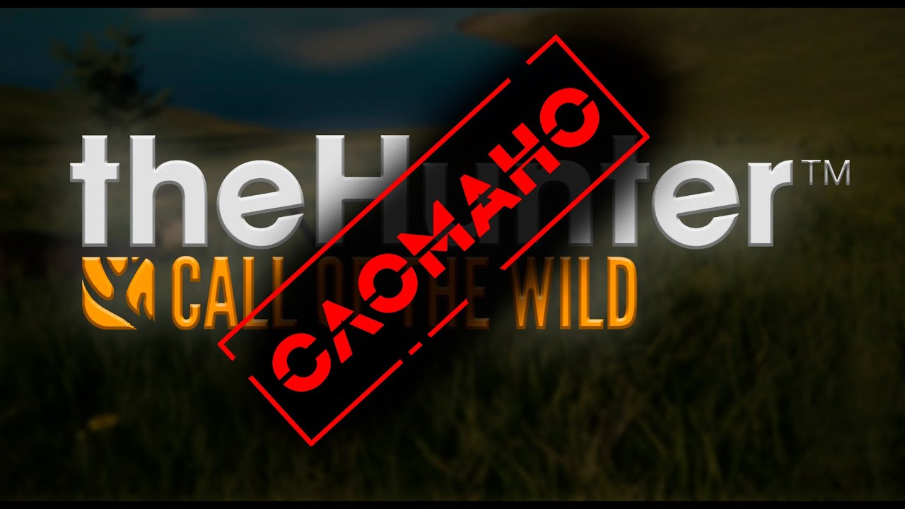 theHunter Call of the Wild - БУДЕМ ЧИНИТЬ ИГРУ?